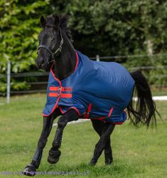 Coperta da paddock Horseware Mio